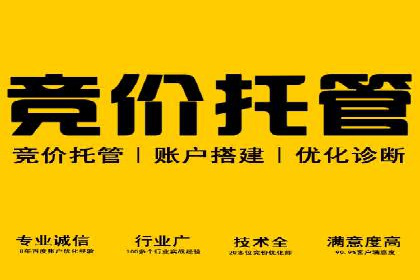某企业SEM推广全流程解析——从策划到执行的成功案例